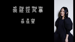 《我经过风暴》 徐佳莹 【高音质歌词版】