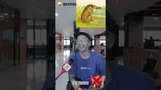 冷知识：看照片猜是什么动物的祖先