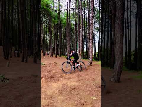 Cycle riding is so difficult 😞 its hard #love #youtubeshorts #travel #cycleride