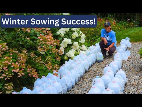 Winter Sowing Garden Vlog | Gardening During Winter Months