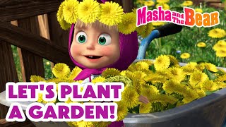 Masha and the Bear 2025 🌼🏡 Let's Plant a Garden! 🌻🐧 Best episodes cartoon collection 🎬