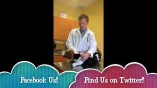 Bloopers Video Pre-Op Care for your Pet at Boones Creek Animal Hospital