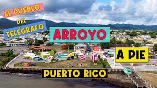 Cogiendo Jueyes, El Primer Telégrafo, surfing Park y Café en Arroyo A Pie   4K