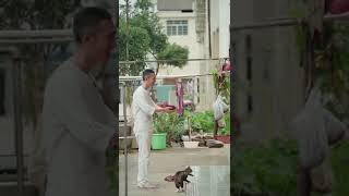 当你放下记忆，全然的活在当下时，生命便会绽放充满愛的花朵#托钵 #修行 #唤醒真我 #感恩 #人间温暖