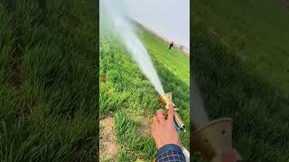 Orchard Spraying Revolution Fog Gun Beats Pests in Seconds! #shorts #agritech #farmhack #spraying