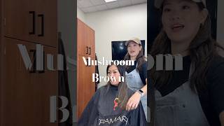 Mushroom Brown hair color #mushroombrown #blondespecialist #hairtok