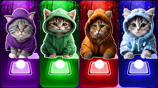 CUTE CATS JISOO FLOWER - KATTY PERRY ROAR - CLEAN BANDIT ROCKABYE - BLACKPINK DDU DU DU DU