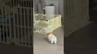 아직은 어색한 사이 ㅋㅋ 🫶🏻