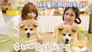 日本之旅來秋田賞楓找秋田犬！feat .如茵