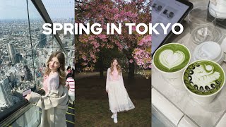 Tokyo Day 2 🌸 Exploring Shibuya, Ghibli Museum & Sakura Parks