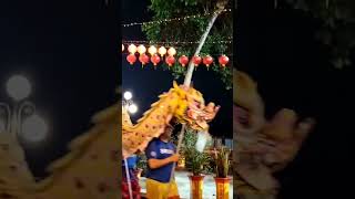 "庆祝元宵节：永乐大伯庙的传统与文化"