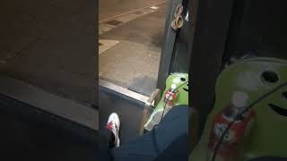 貓媽媽叫小孩 吸引貓