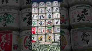 明治神宮參拜攻略！鳥居、夫婦楠、大御心籤詩 #東京旅遊 #meijijingu #日本