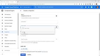 [071] Google Cloud Snapshots