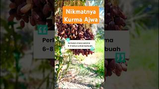 Khasiat KURMA AJWA ‼️#fypシ゚viral #shortvideo #shorts #trending #kurmamanis