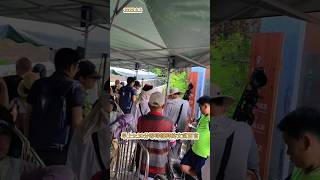 8.3早上9:30等待朝拜的文武百官，公主估计在梳洗打扮#大熊猫#大熊猫福宝#福寶#大熊貓福寶#판다푸바오#푸바오#fubao#에버랜드#용인 푸씨#푸공주