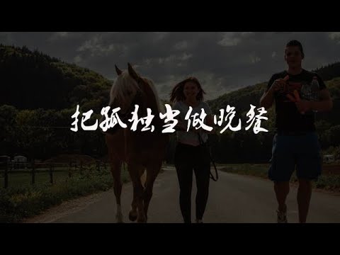 抖音熱門歌曲音樂《把孤獨當做晚餐》