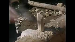 !!!!!LET'S WATCH HOW TO BUILD A LOG CABIN TIMELAPSE!!!!!!!