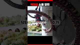 마블 덕후조차 놓친 충격적 디테일
