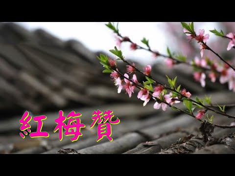 YPT35《紅梅贊》心靈音樂｜休閒音樂｜佛教音樂｜禪修音樂｜太極拳背景音樂＞無痕加長珍藏版