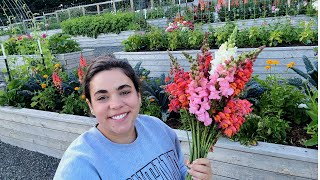 The Abundance is Starting to Roll In!  Full July Garden Tour