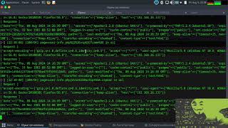 Beef-Xss exploit|Xss attack|Control website using beef frame work|Website Hacking|Web Testing