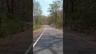 कौन दिशा में#song#travel#trending#pahad#mountain#hills#nature#beauty#love#like #youtubeshorts