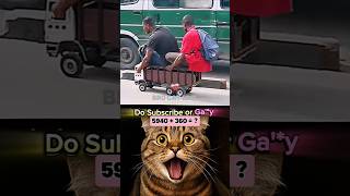 Bro's Personal car #funny #cat #memes