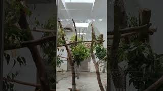 我看看可不可以逃出去