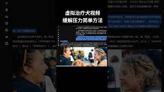 只需5分钟狗狗视频让压力消失了！