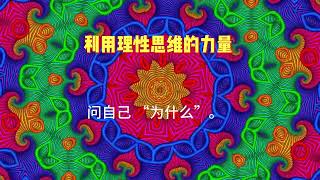 利用理性思维的力量