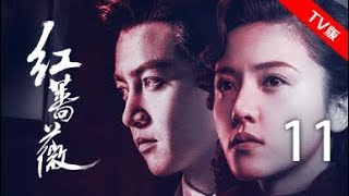 红蔷薇 11丨Wild Rose 11（主演:杨子姗,陈晓,毛林林,谭凯）【TV版】
