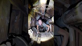 Young Woman AMBUSHED by ENORMOUS SPIDER in Chernobyl Attic! #scary #thehorrors #spider #chernobyl