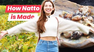 Natto! Soy Sauce! Yakimanju! The Delicious Magic of Fermentation in Maebashi, Gunma