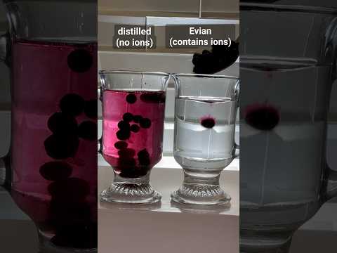 Metals in Water? 🫐💧