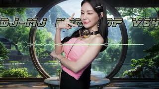 DJ-MJ Nonstop V64 2025【偏向 X 跳楼机 X 执子之手 X 谦让 X 青花 X 我走后 X 给不了你未来 X 满天星辰不及你】