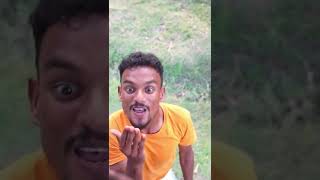 Funny #shorts #shortsvideo #shortsfeed #shortsyoutube #shortsbeta #shortsvideos #shortsviral