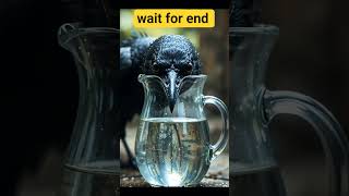The Clever Crow: A Thirst for Hope” #ThirstyCrow #MoralStory #WisdomInNature #NeverGiveUp