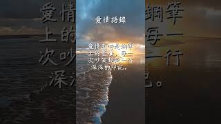 每日一句愛情語錄 浪漫愛情語錄分享 心動的愛情句子 愛的名言 EP 7 #shorts #愛的名言 #感情語錄 #浪漫 #傷感語錄