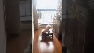 虔诚拜佛的小狗 | Puppy praying to Buddha  #funny #funnydogs #pupyy  #buddha #狗狗 #拜佛 #佛