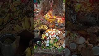 నాగుల చవితి...🙏 #nagulachavithi #karthikamasam #greentreesvideos #viralvideo #ytshorts