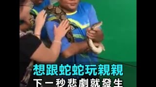想跟蛇蛇玩親親　下一秒悲劇就發生｜三立新聞網SETN.com