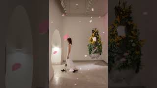 臺灣蘭花百姿 展覽 / 國立歷史博物館