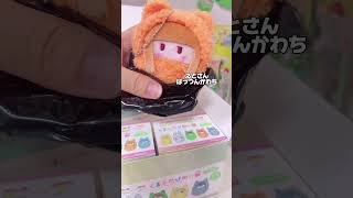 【からぴちグッズ】くるみたぴぬい届きました #推し活 #カラフルピーチ #からぴち #手元動画 #オタ活
