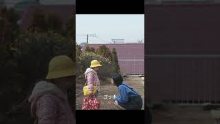 5さよならぼくたちのようちえん#クリップ #ドラマ #YouTube #ショートプレイ #fyp