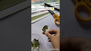 Paper Collage 😱 | Tree ⁉️| khalasi ❤️ | #artshorts #viralreels #youtubeshorts #shortvideo