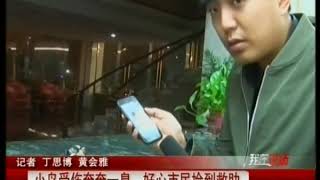 沈阳：小鸟受伤奄奄一息，好心市民捡到救助！