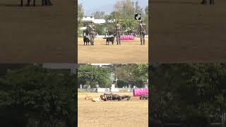J&K: Four-legged soldiers of Indian Army showcase their skills in Udhampur | #Udhampur #IndianArmy