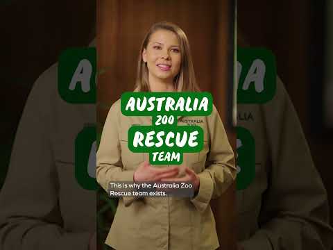 How we support our local wildlife, the Australia Zoo Rescue Team