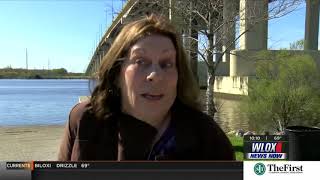 UFO Witnesses PKG